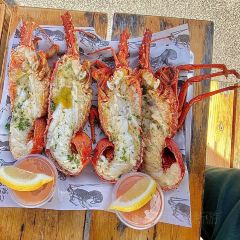 Apollo Bay Fishermen's Co-op張用戶圖片