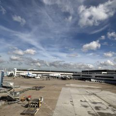 Qantas International First Lounge Sydney User Photo