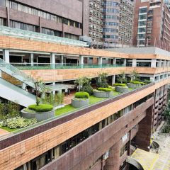 Cheung Kung Koon User Photo