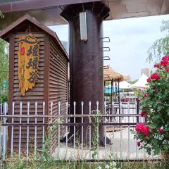China Town Chinese Restaurant 여행 사진