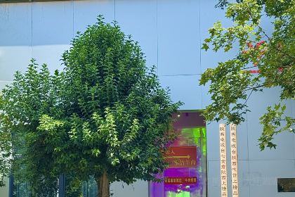 老贺家雅洁羊肉泡馍馆(总店)