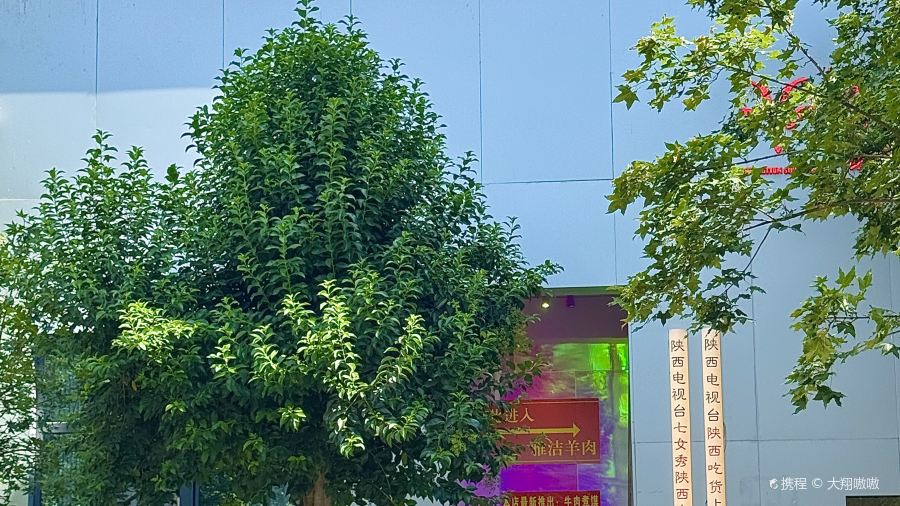 老车站丸子汤