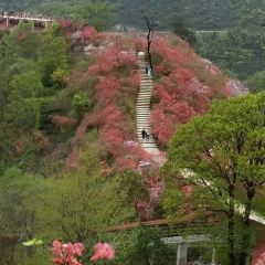 山里人家(黄尾立交桥店) User Photo