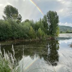 剑湖东骧阁 User Photo
