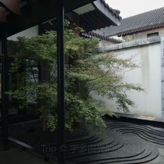 PURPLE MOUNTAIN GARDEN 여행 사진