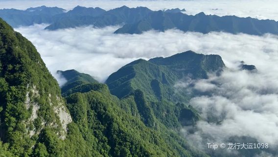 Tianzhu Mountain National Forest Park - Tianzhu Sea of Clouds