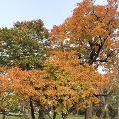 本达人海鲜烧烤(发展店) User Photo