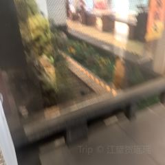 绿茶餐厅(深圳茂业店) User Photo