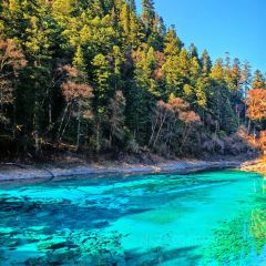 阿妈家特色藏餐(九寨沟店) User Photo