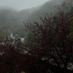 TheWinstonBar User Photo