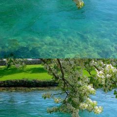 卡万金特色藏餐 User Photo