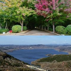 彩塔炒焖子(彩塔夜市店) User Photo