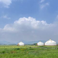 德顺源(桥华店) User Photo