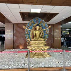 Krishnarpan User Photo