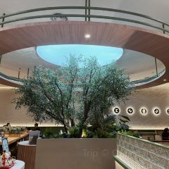 Manzanita Pâtisserie & Boulangerie - Eco Botanic User Photo