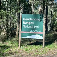 SkyHigh Mount Dandenong User Photo