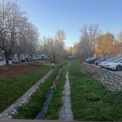金龍餐廳張用戶圖片