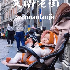 龙西中西茶园 User Photo