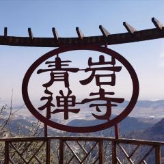 老龐家水餡包子館張用戶圖片