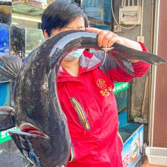 好灶头妈妈菜(七星花园店) User Photo