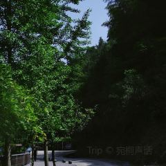 LING BEI YUE LIANG WAN SHAN ZHUANG LING BEI SHAN ZHUANG User Photo