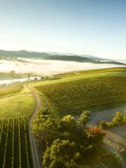 Yarra Valley & The Dandenongs