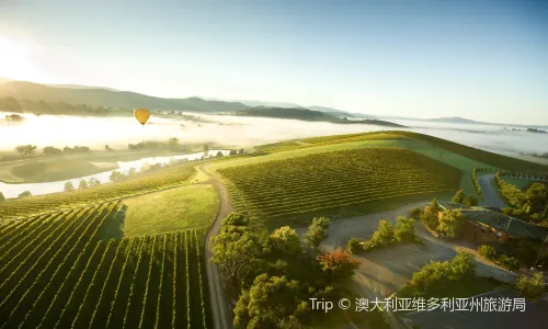 Yarra Valley & Dandenongs Ranges