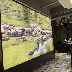 天山集市餐厅(康城店) User Photo