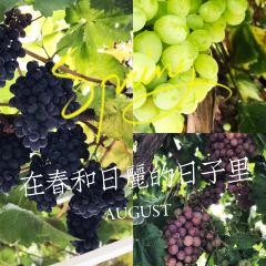 龙谕酒庄·餐饮部 User Photo