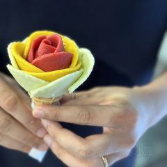 Gelarto Rosa User Photo