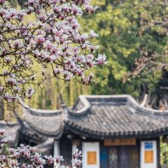 麥當勞（常州西瀛裡店）張用戶圖片