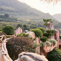南坑咖啡观赏园 User Photo
