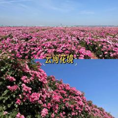 云间花境餐厅 User Photo