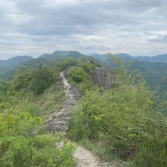 前良麦镬 User Photo