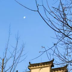 BAI YUN User Photo