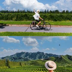 迦南酒业 User Photo