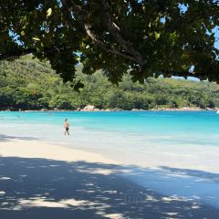 Le Chevalier Bay Restaurant User Photo