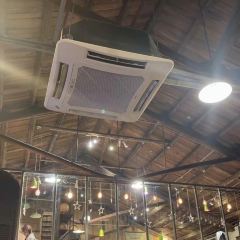 Showroom Cafe User Photo