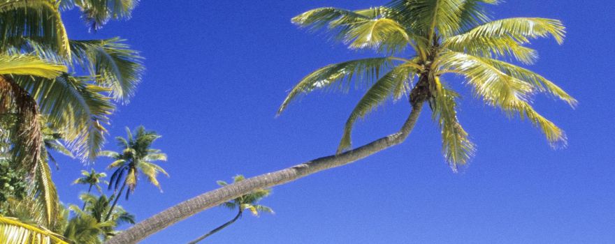 Rarotonga