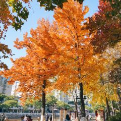 麥當勞（常州西瀛裡店）張用戶圖片