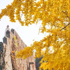 麥當勞（常州西瀛裡店）張用戶圖片