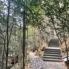 丫山农家乐 User Photo