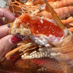 椰林海鲜码头(番禺万达店) User Photo