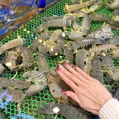 椰林海鲜码头(番禺万达店) User Photo