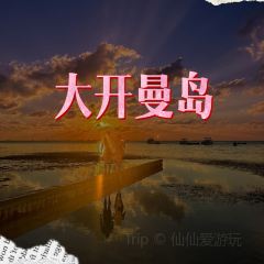 The Cracked Conch by the Sea User Photo