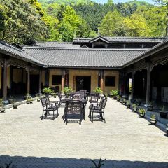 智矩寺皇茶坊 User Photo