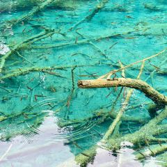 Bianbianjiecangyage Restaurant User Photo