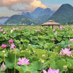 半湖云·湖景餐厅(普者黑景区店) User Photo
