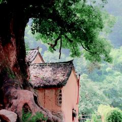 蛙哥餐厅 User Photo