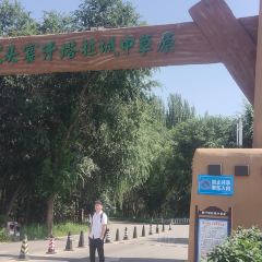 MENG GU DA YING SHI DE GONG YUAN DIAN User Photo